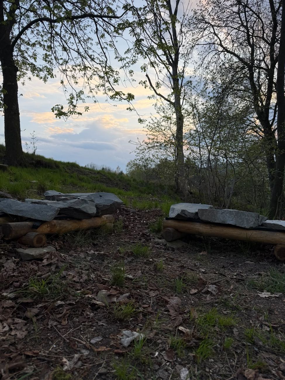 Sitzsteine im Waldpark unter Bäumen, dahinter der Abendhimmel